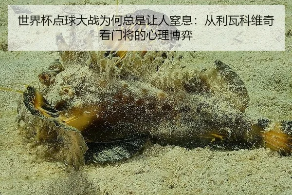 世界杯点球大战为何总是让人窒息：从利瓦科维奇看门将的心理博弈